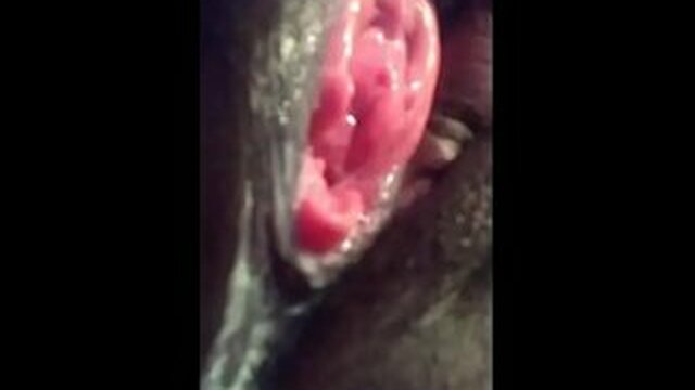 My Fans Better Watch This Video