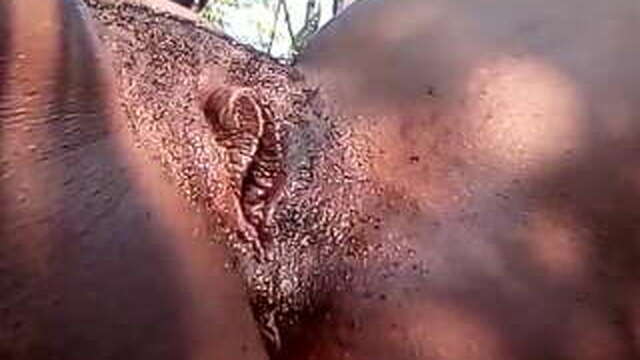 Close-up of the labia