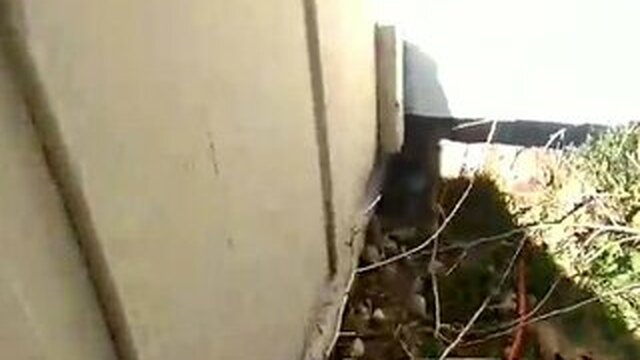 Caught his roommate masturbating