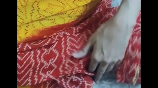 Indian maid fucks the owner