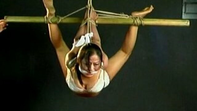 This bitch is getting a real professional banging session