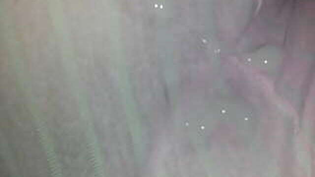 my ladybug disappeared.